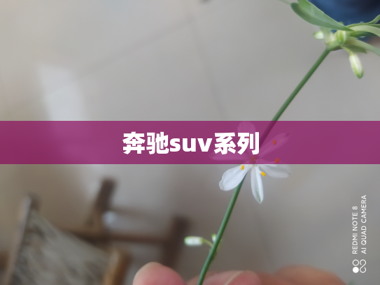 奔驰suv系列