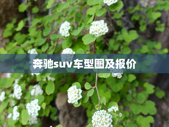 奔驰suv车型图及报价