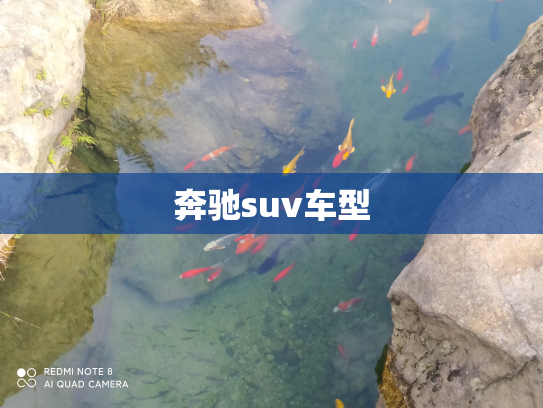 奔驰suv车型