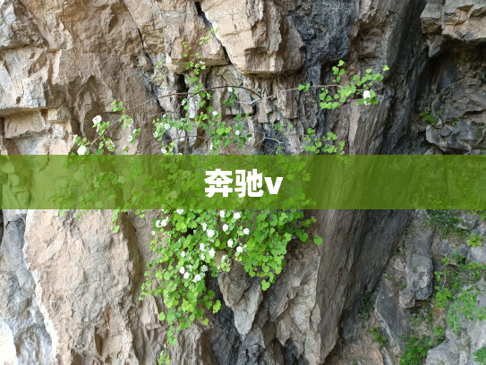 奔驰v