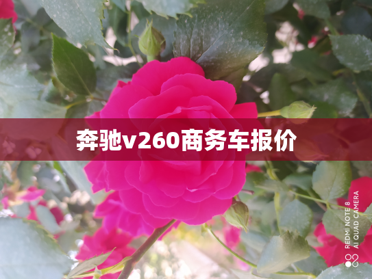 奔驰v260商务车报价