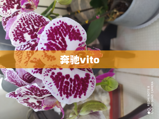 奔驰vito