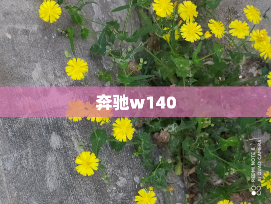 奔驰w140