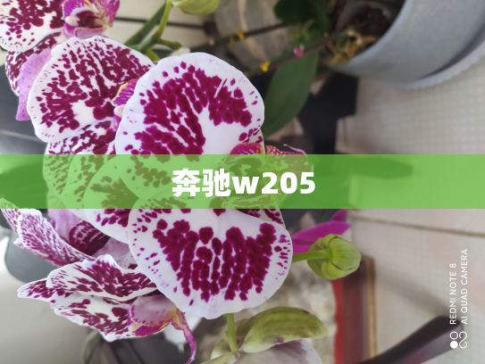 奔驰w205