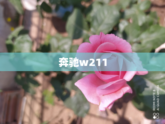 奔驰w211