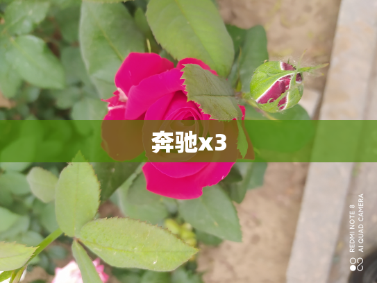 奔驰x3