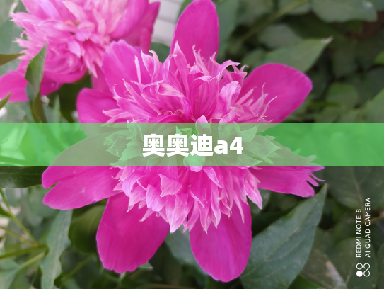 奥奥迪a4