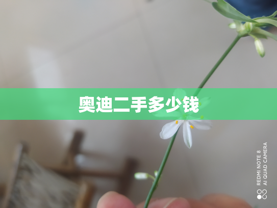 奥迪二手多少钱