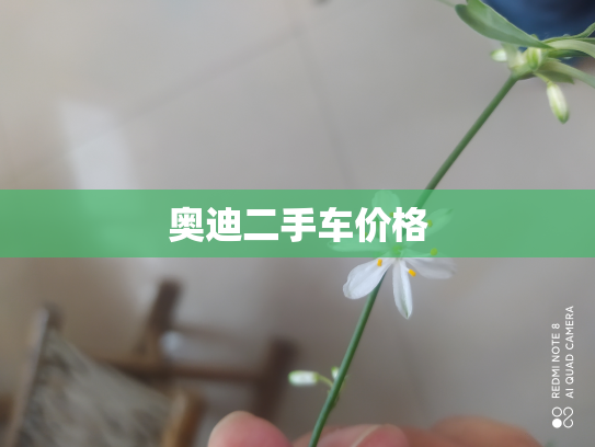 奥迪二手车价格
