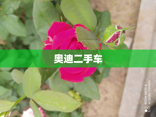 奥迪二手车