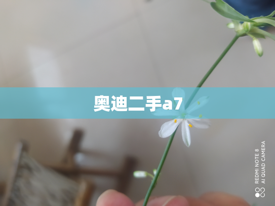 奥迪二手a7