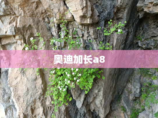 奥迪加长a8