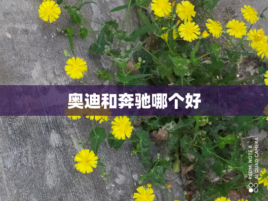 奥迪和奔驰哪个好