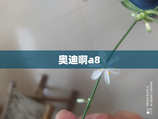 奥迪啊a8