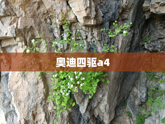 奥迪四驱a4