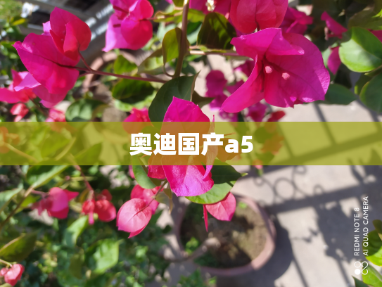 奥迪国产a5