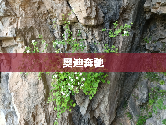 奥迪奔驰