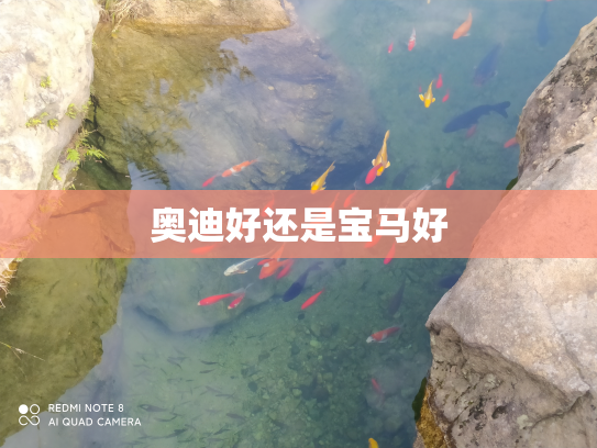 奥迪好还是宝马好