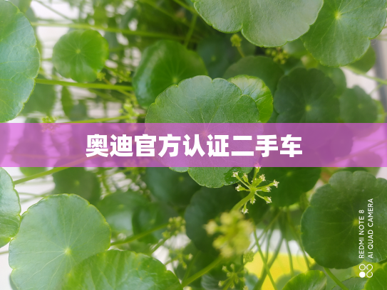 奥迪官方认证二手车