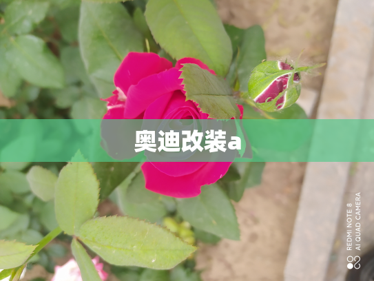 奥迪改装a