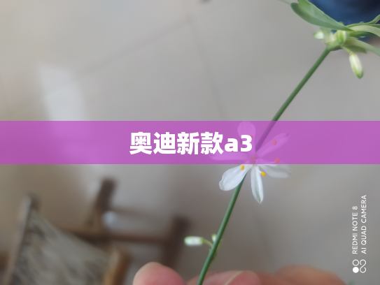 奥迪新款a3