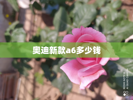 奥迪新款a6多少钱