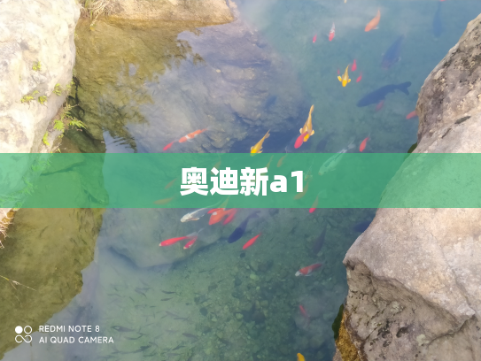 奥迪新a1