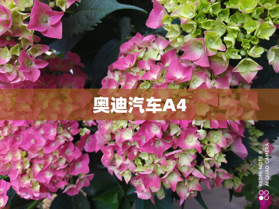 奥迪汽车A4