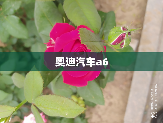 奥迪汽车a6