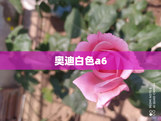 奥迪白色a6