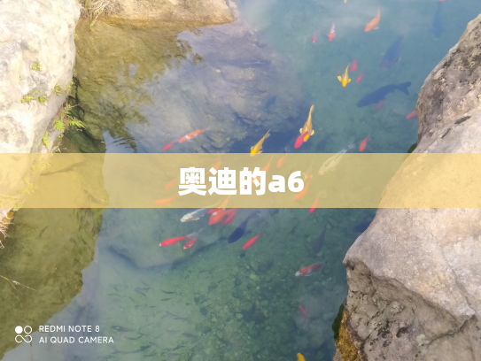 奥迪的a6
