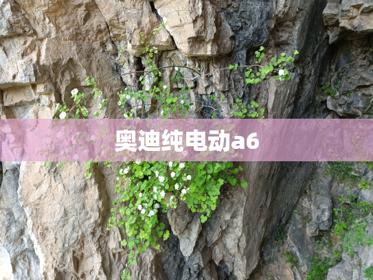奥迪纯电动a6