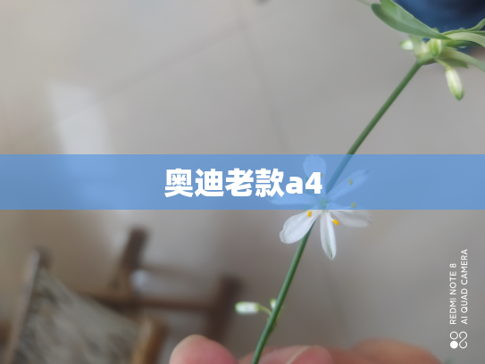 奥迪老款a4