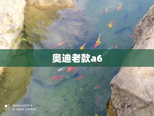 奥迪老款a6