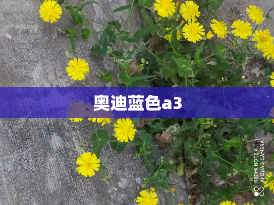 奥迪蓝色a3