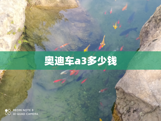奥迪车a3多少钱