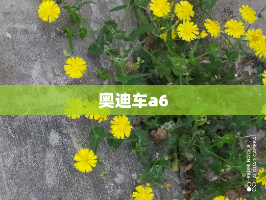 奥迪车a6