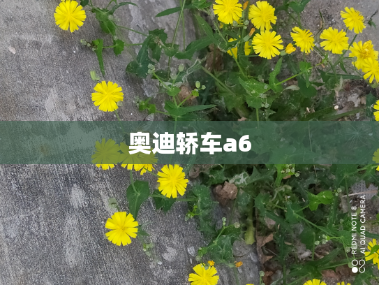 奥迪轿车a6
