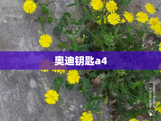 奥迪钥匙a4