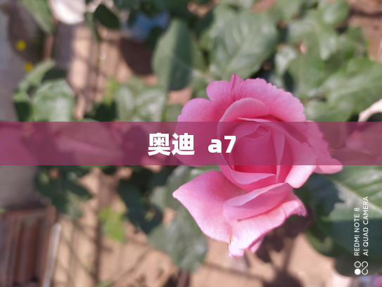 奥迪  a7