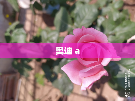 奥迪 a