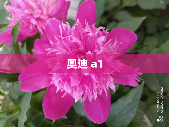 奥迪 a1