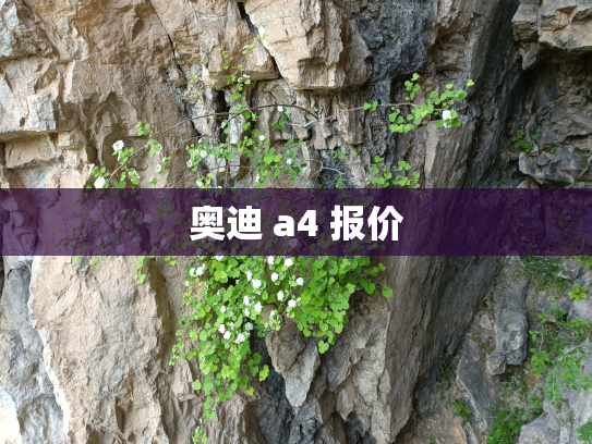 奥迪 a4 报价