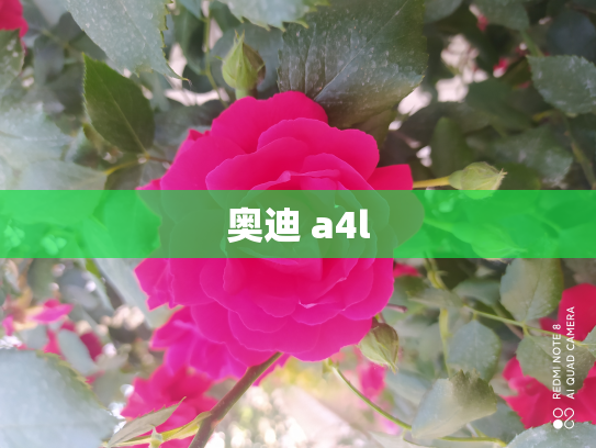 奥迪 a4l
