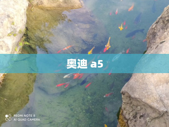 奥迪 a5
