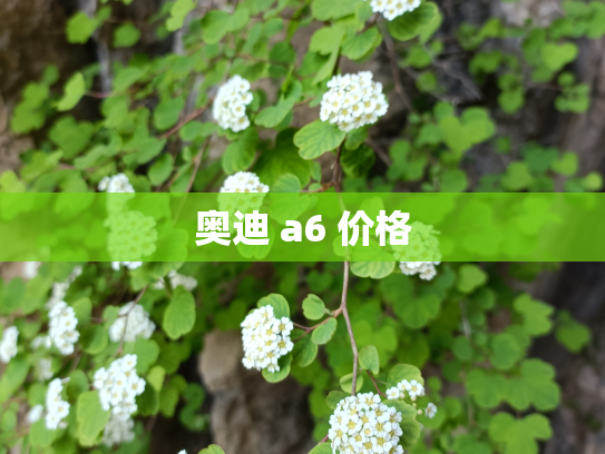 奥迪 a6 价格