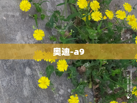 奥迪-a9