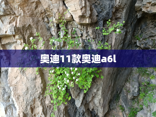奥迪11款奥迪a6l