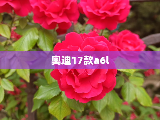 奥迪17款a6l