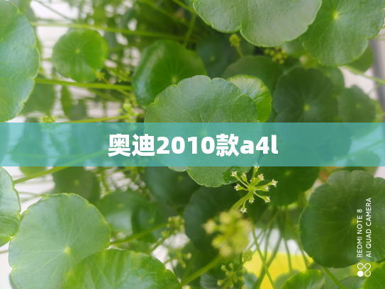 奥迪2010款a4l